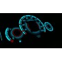 Fiat Seicento design 7 GLOW FACE GAUGE PLASMA TACHO GLOW GAUGES TACHOSCHEIBEN DIALS