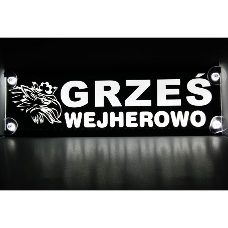 Tablica LED TIR 50x16cm GRAWEROWANA MoMan